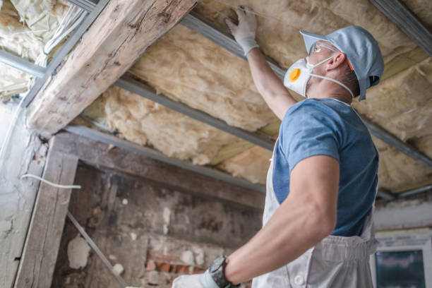 Types of Insulation We Offer in Rosedale, CA